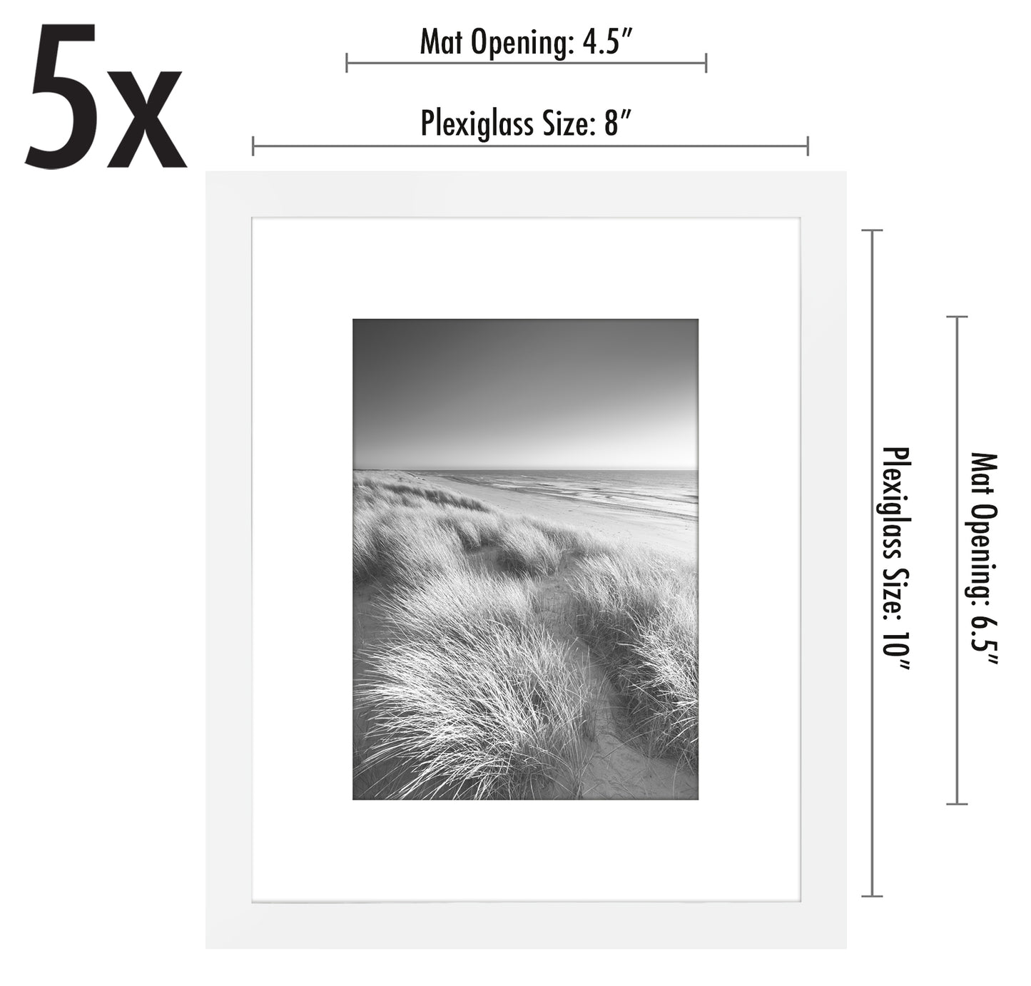 Set of 5 - Classic Gallery Picture Frame with Mat | Galleria Collection