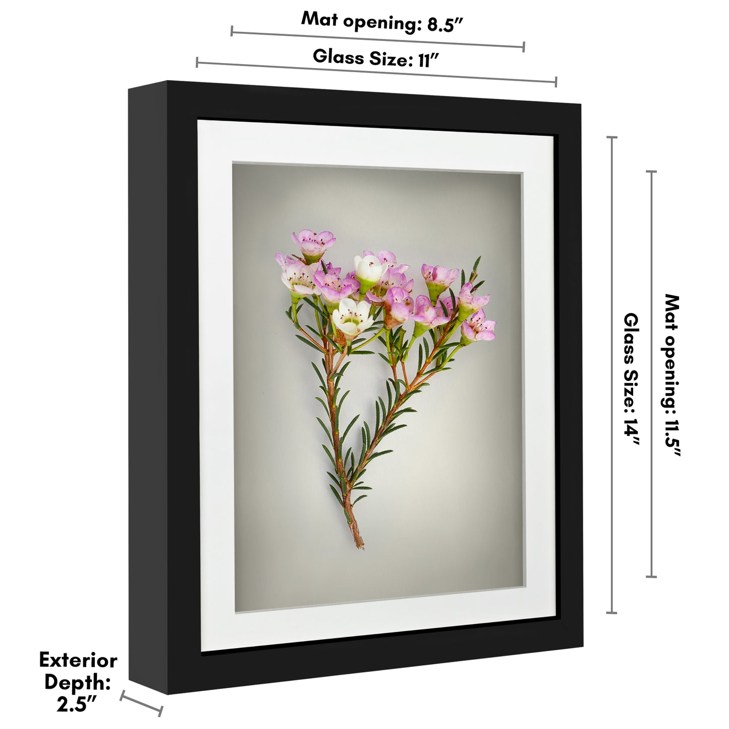 Shadow Box Keepsake Frame with Mat | Silhouette Collection