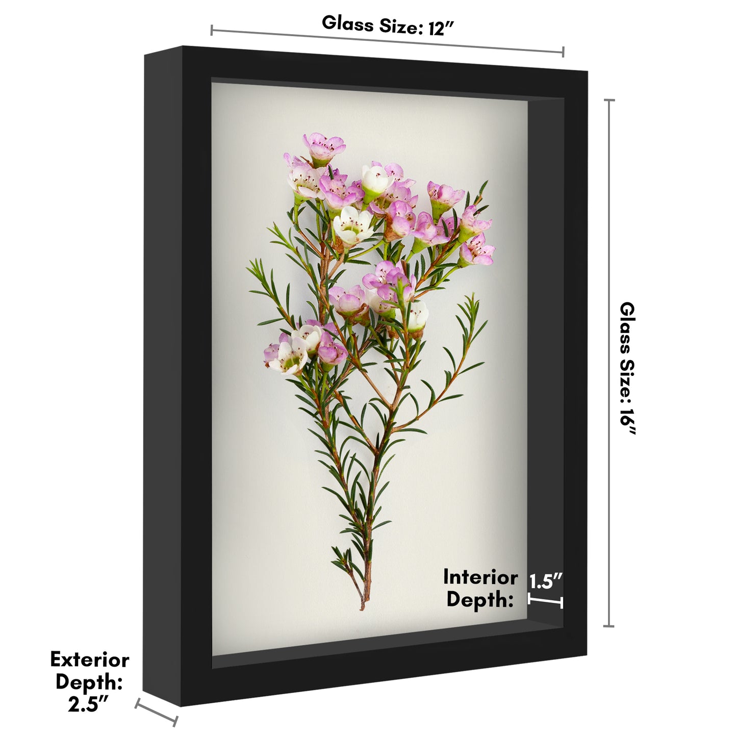 Shadow Box Keepsake Frame | Silhouette Collection