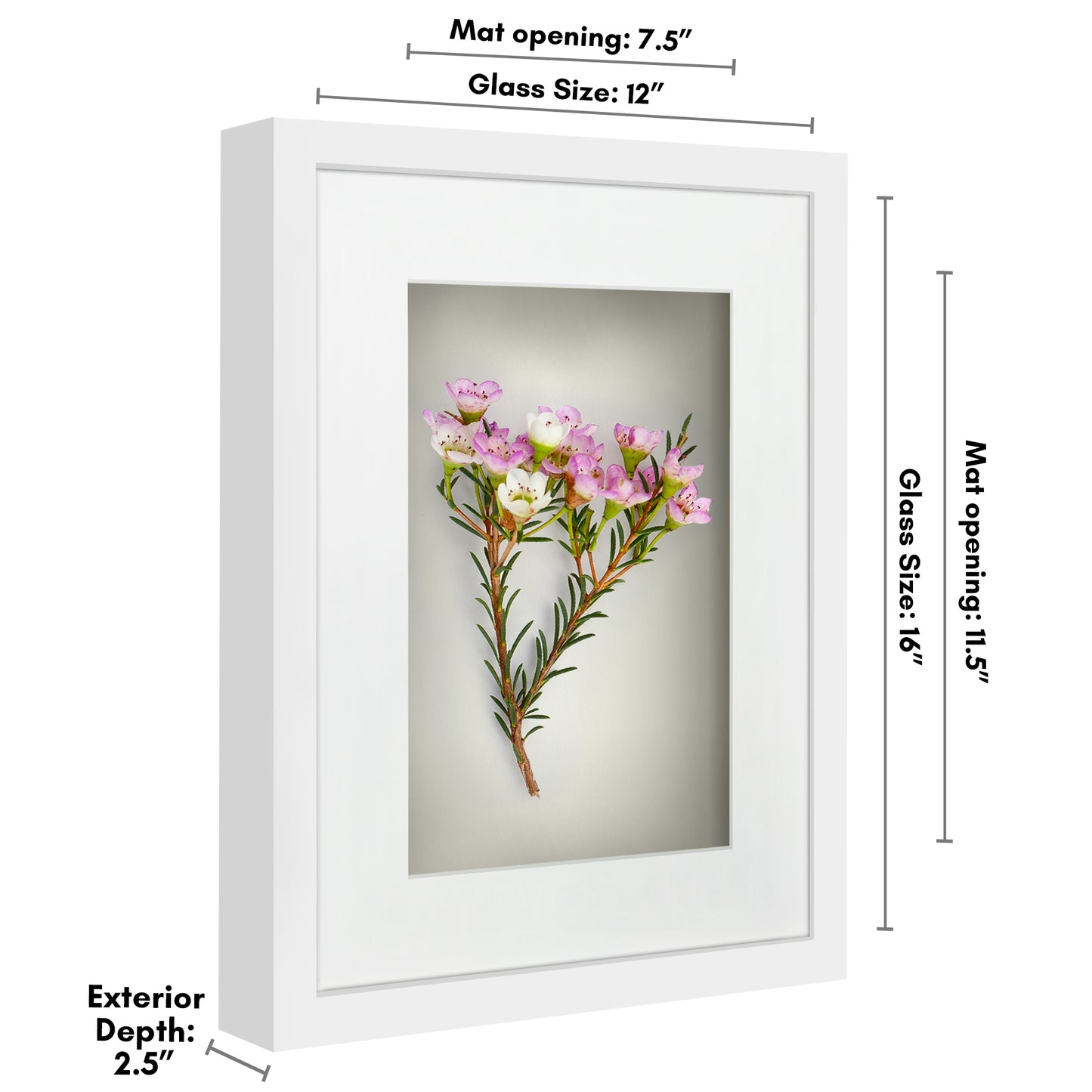 Shadow Box Keepsake Frame with Mat | Silhouette Collection