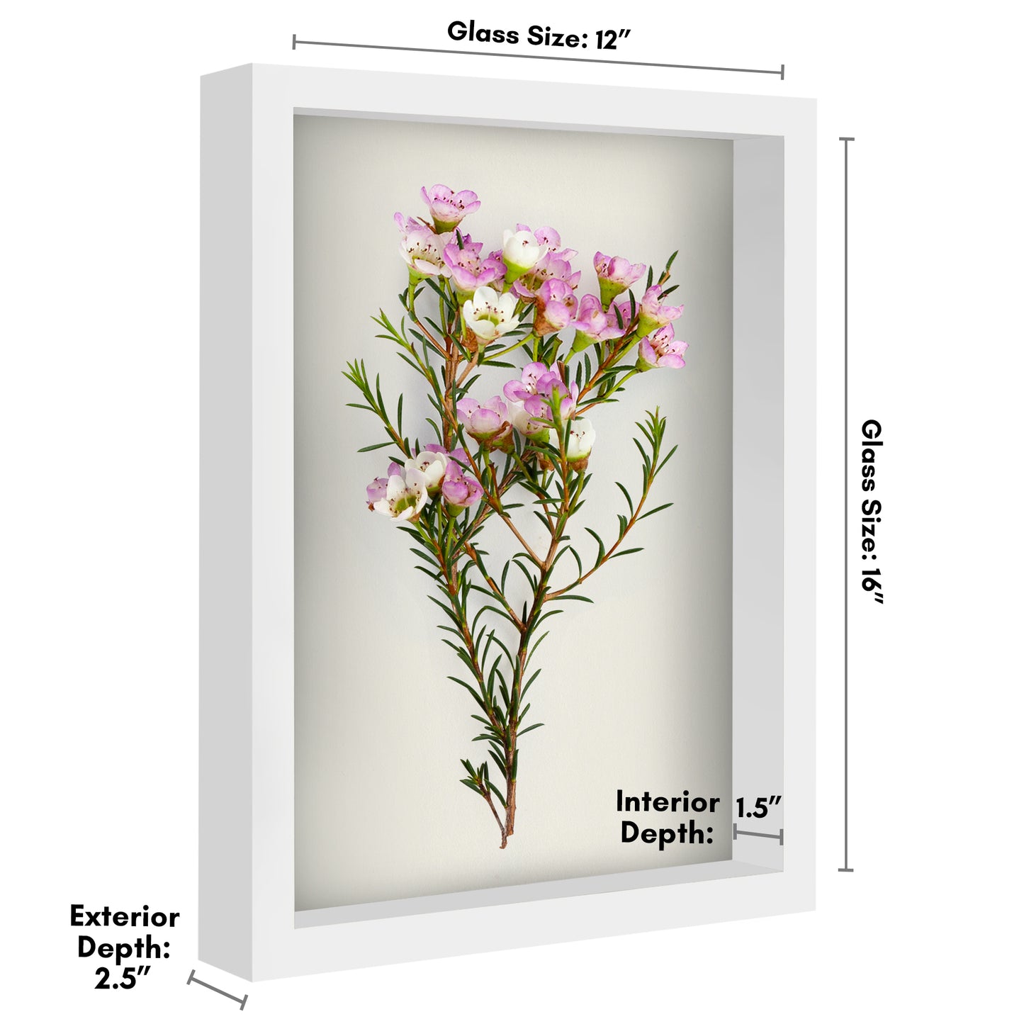 Shadow Box Keepsake Frame | Silhouette Collection