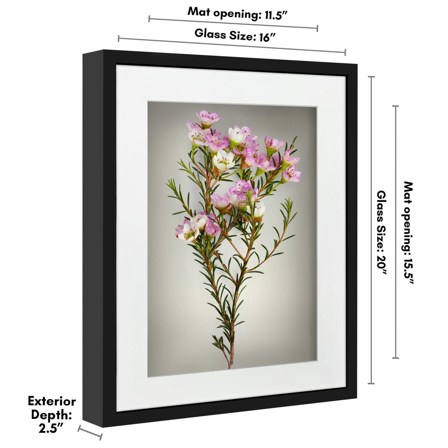 Shadow Box Keepsake Frame with Mat | Silhouette Collection