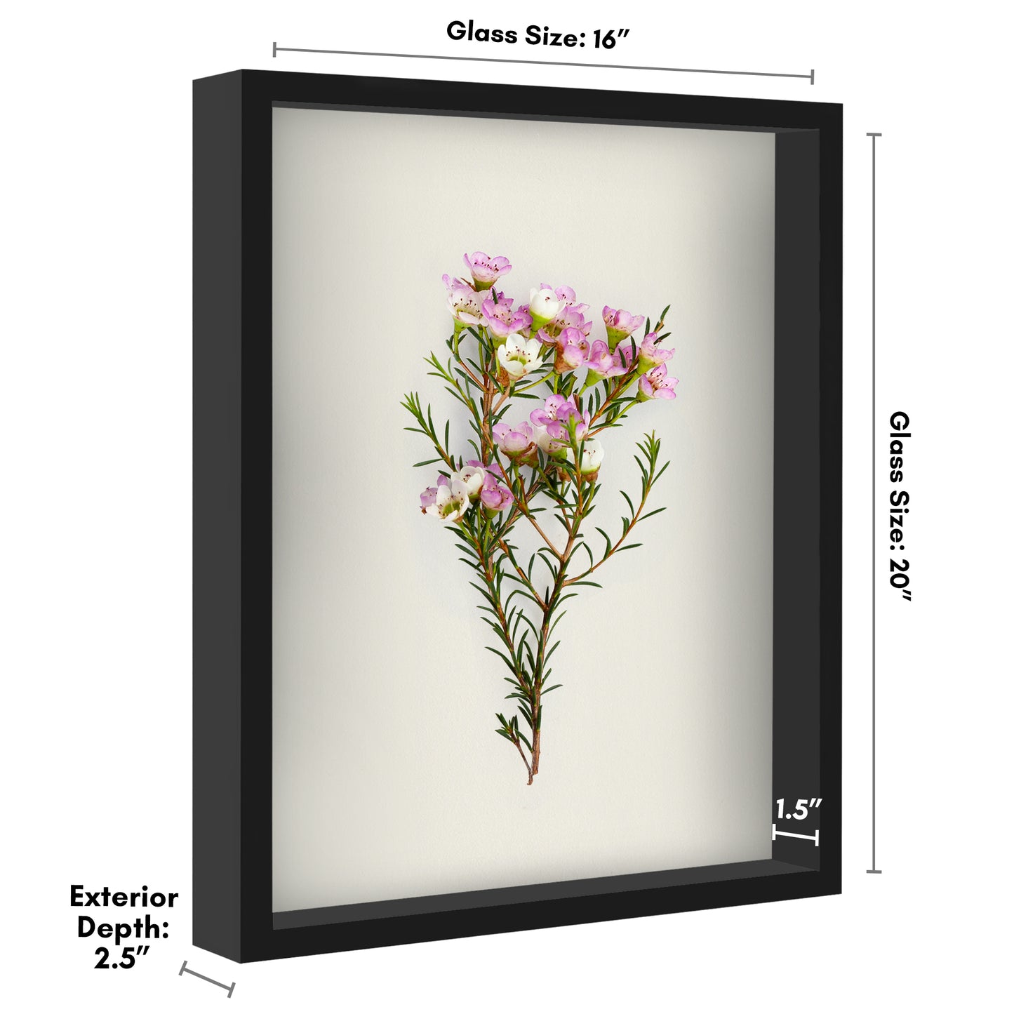 Shadow Box Keepsake Frame | Silhouette Collection