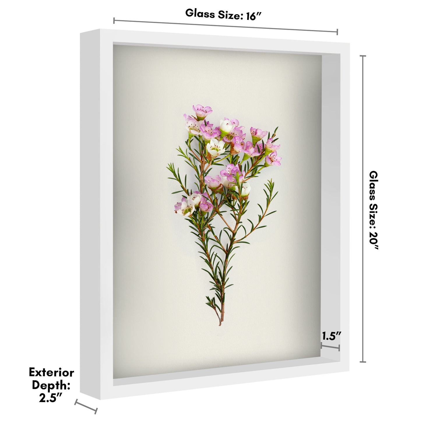 Shadow Box Keepsake Frame | Silhouette Collection