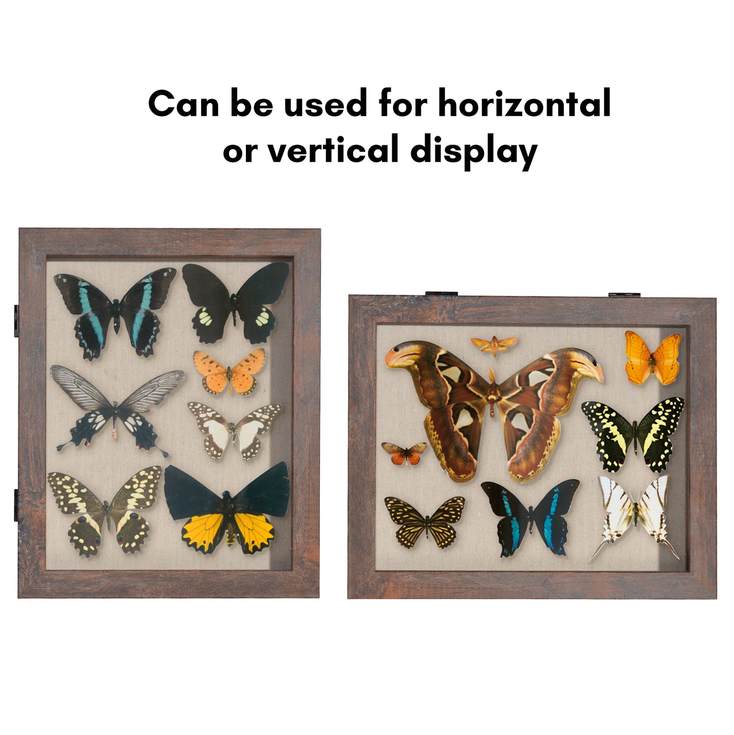 Shadow Box Keepsake Frame with Door | Silhouette Collection