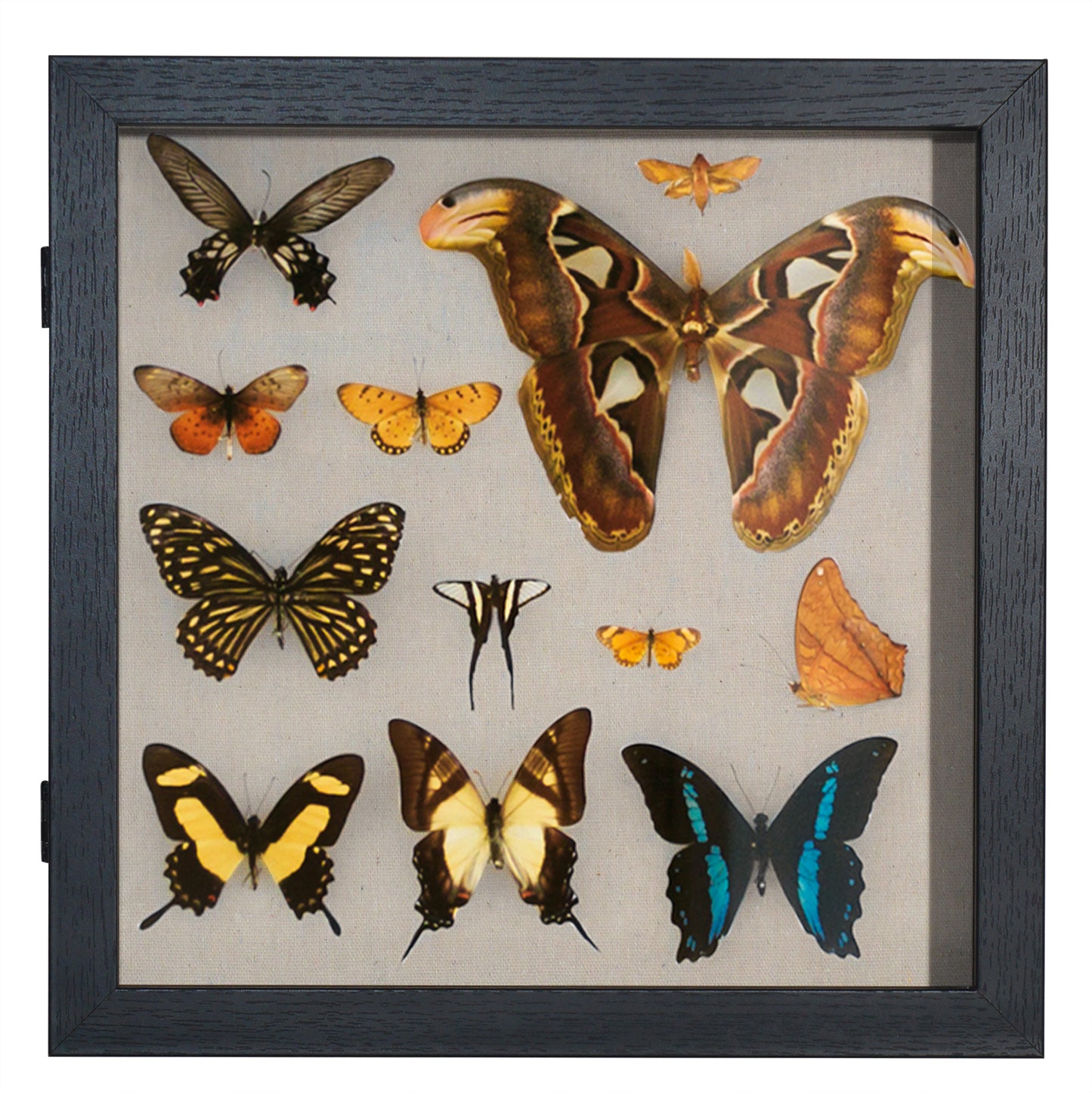 Shadow Box Keepsake Frame with Door | Silhouette Collection
