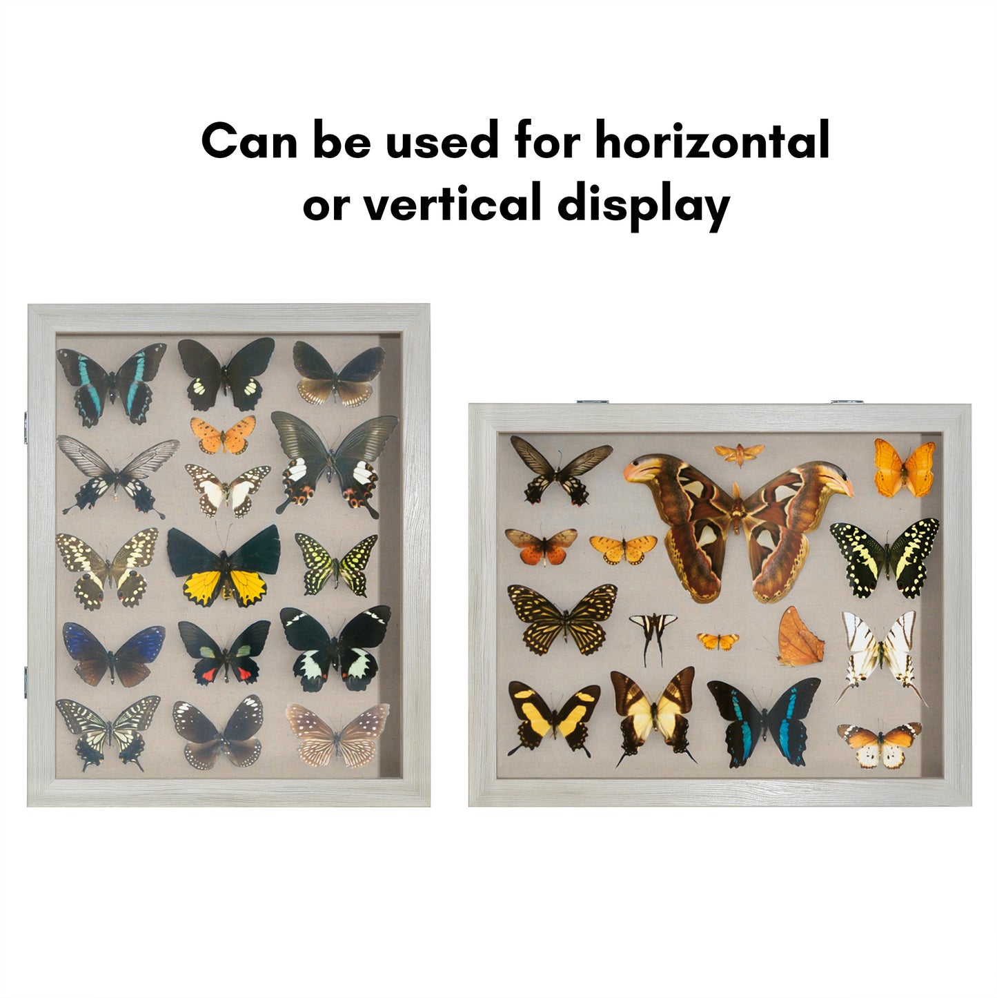 Shadow Box Keepsake Frame with Door | Silhouette Collection