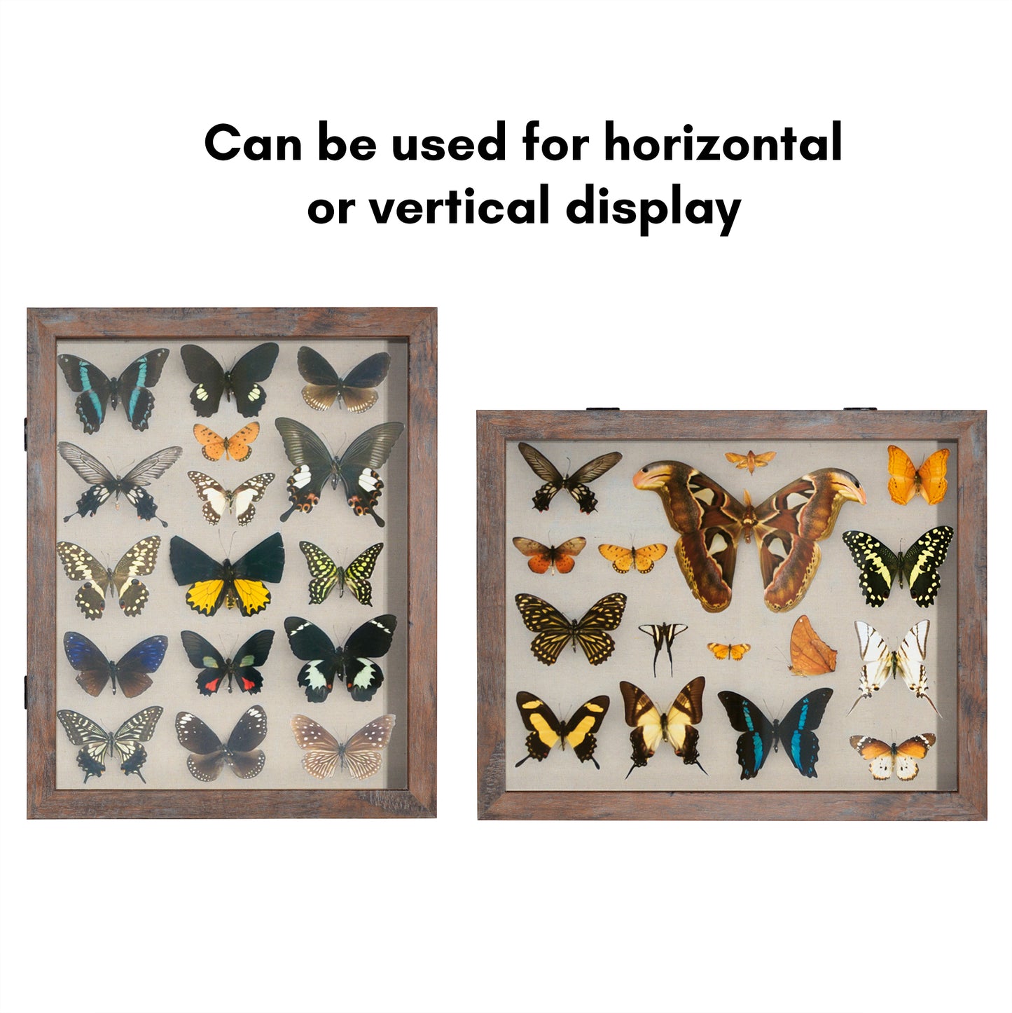 Shadow Box Keepsake Frame with Door | Silhouette Collection