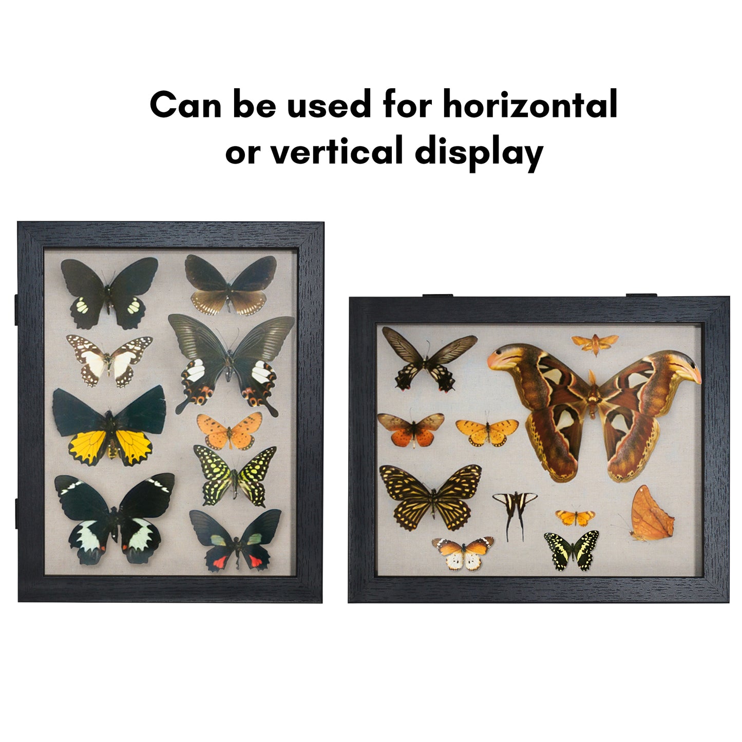Shadow Box Keepsake Frame with Door | Silhouette Collection