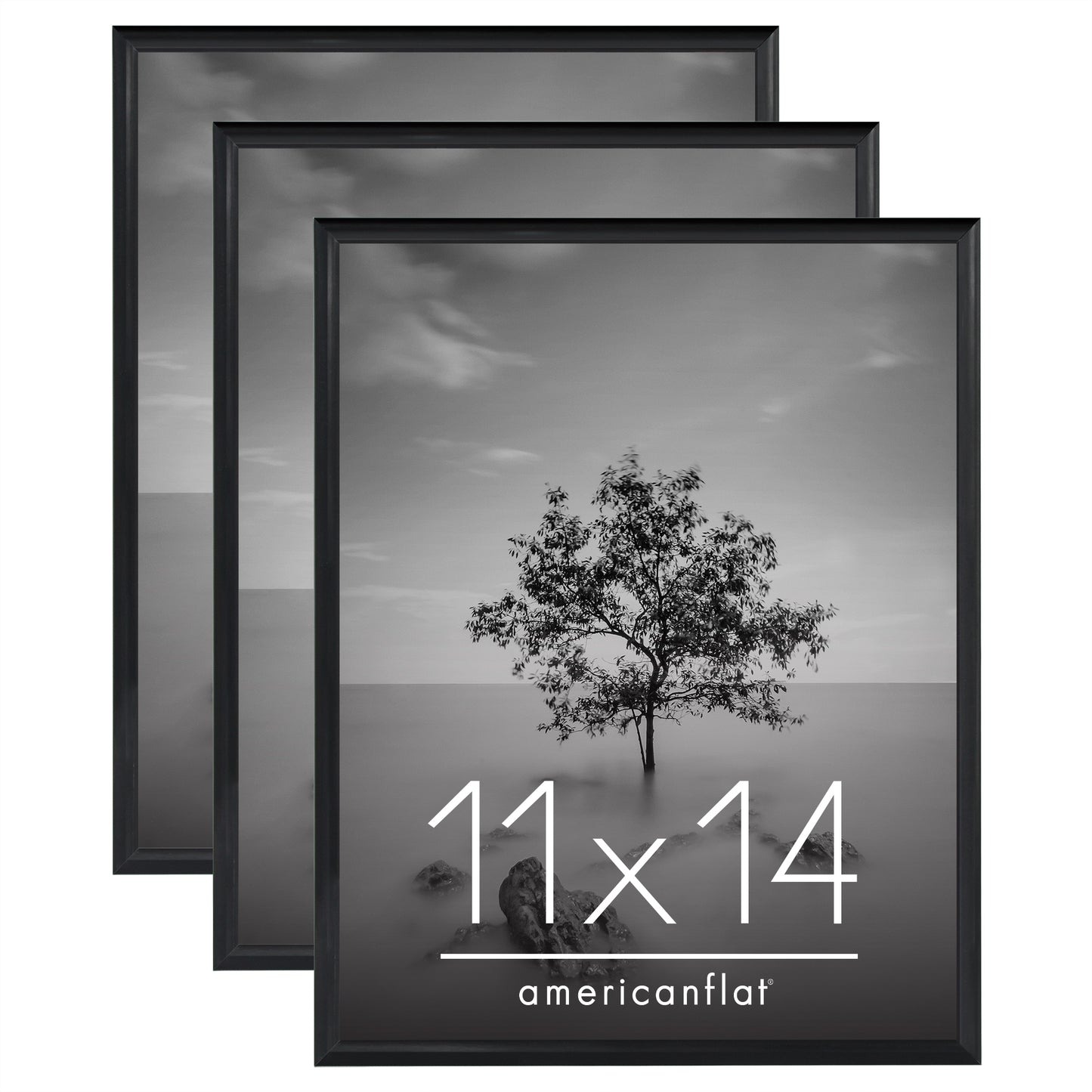 Slide-in Picture Frame with Buildable Molding | Fusion Collection