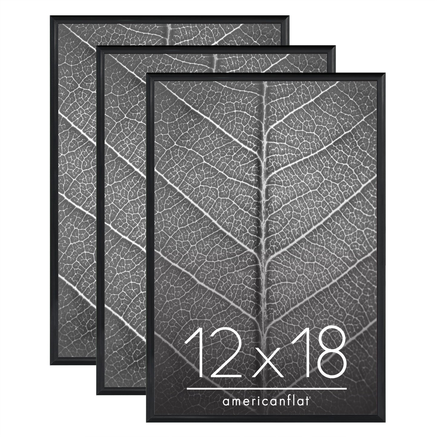 Slide-in Picture Frame with Buildable Molding | Fusion Collection