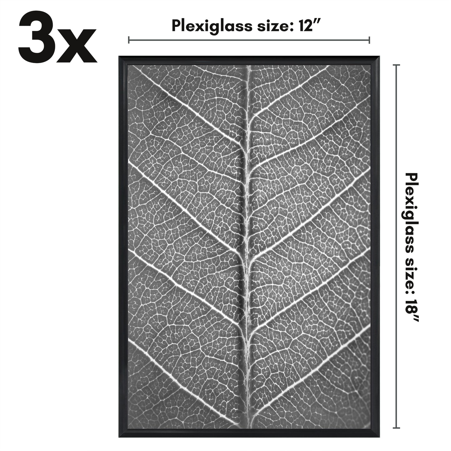 Slide-in Picture Frame with Buildable Molding | Fusion Collection
