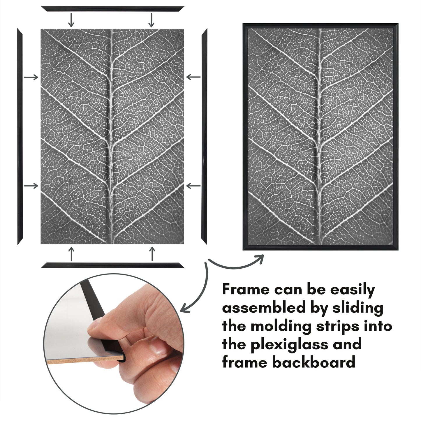 Slide-in Picture Frame with Buildable Molding | Fusion Collection