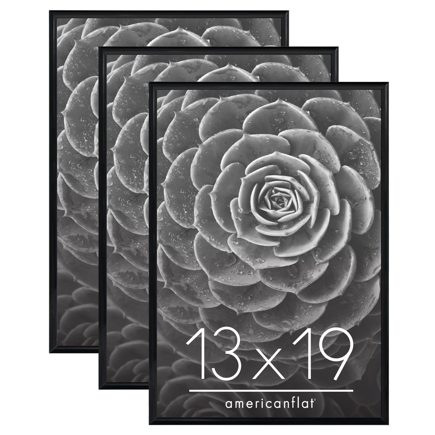Slide-in Picture Frame with Buildable Molding | Fusion Collection