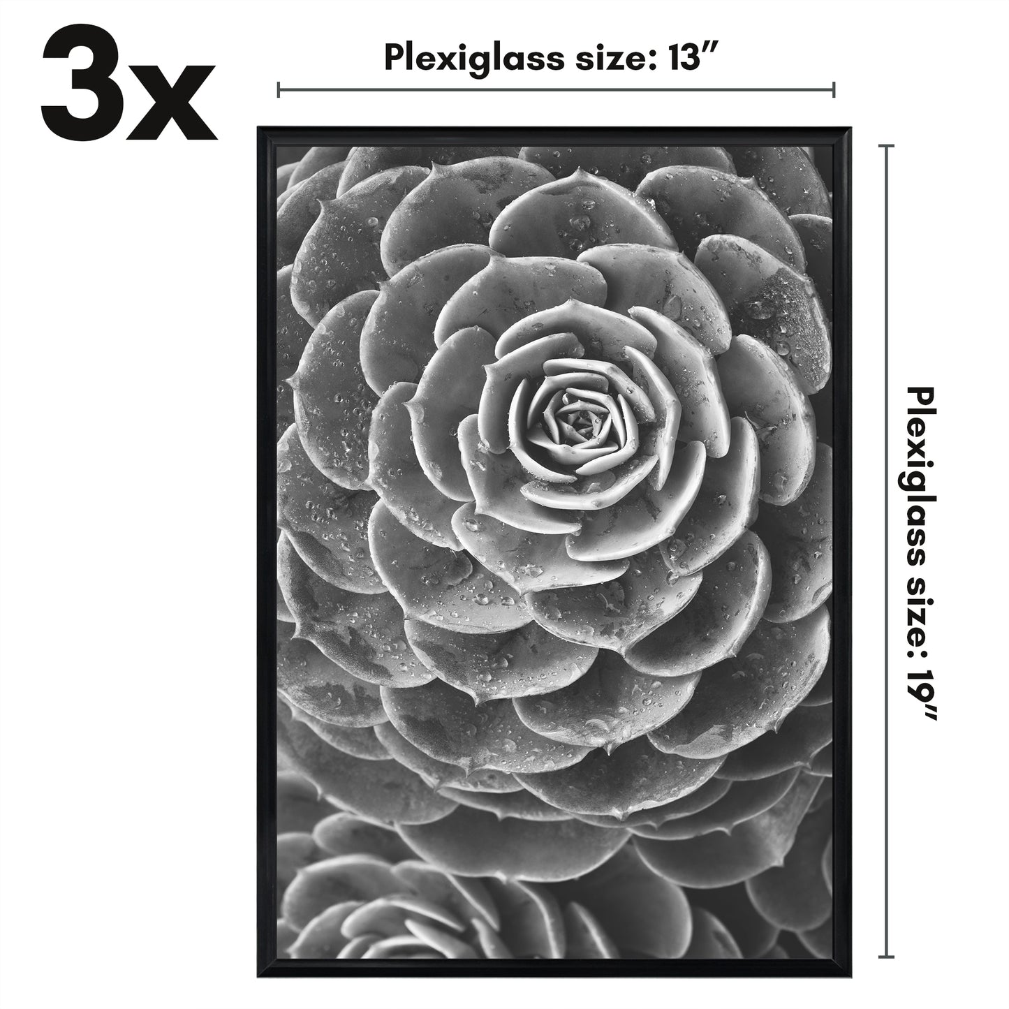 Slide-in Picture Frame with Buildable Molding | Fusion Collection