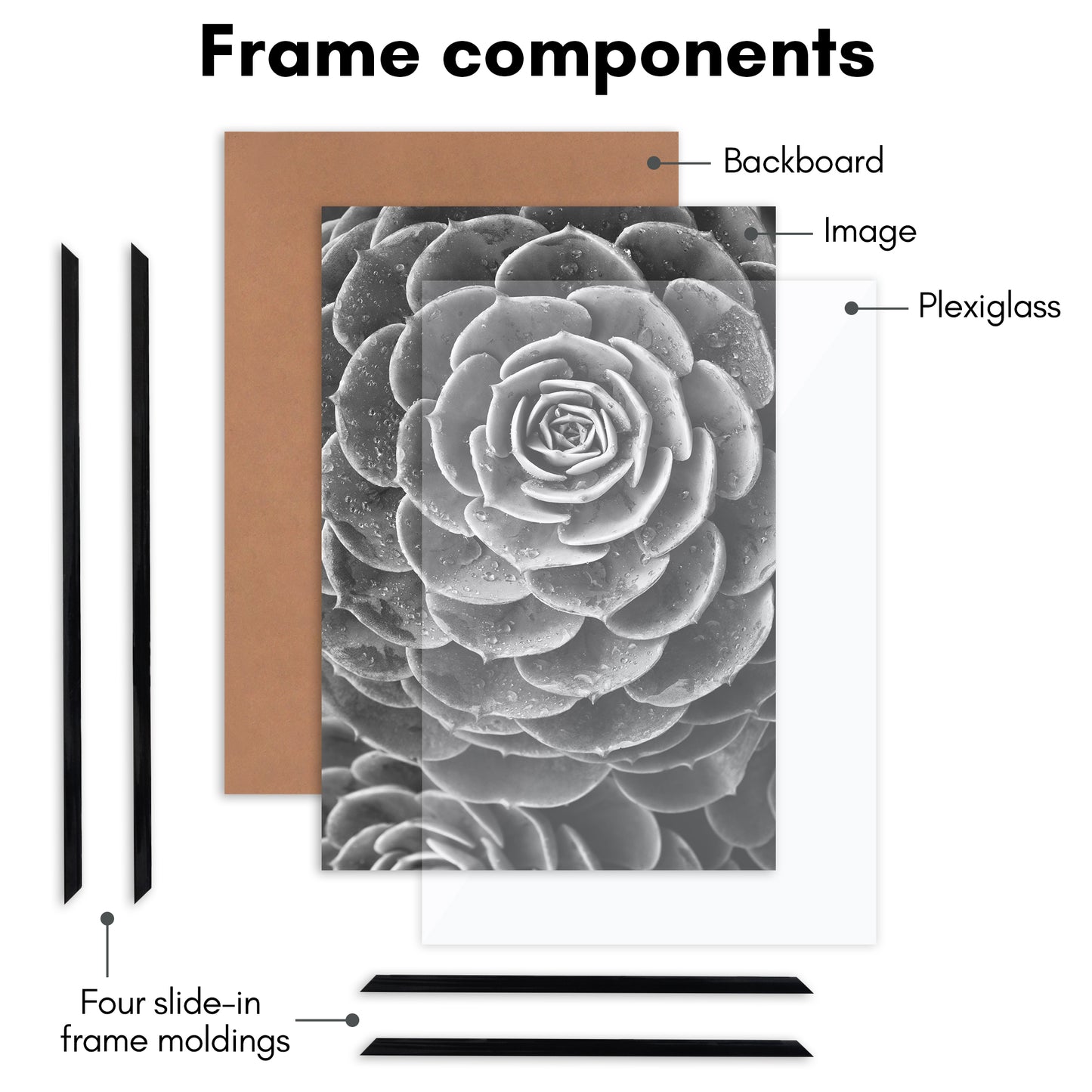 Slide-in Picture Frame with Buildable Molding | Fusion Collection