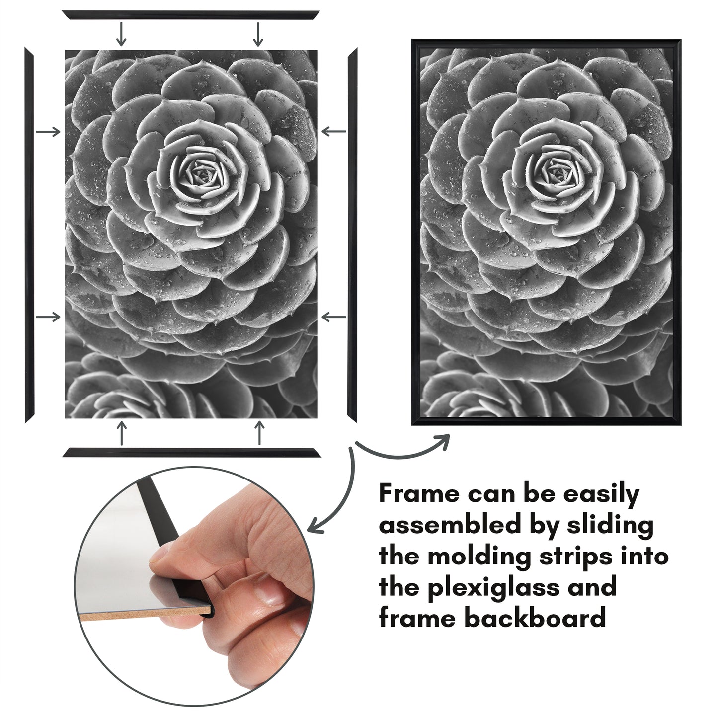 Slide-in Picture Frame with Buildable Molding | Fusion Collection