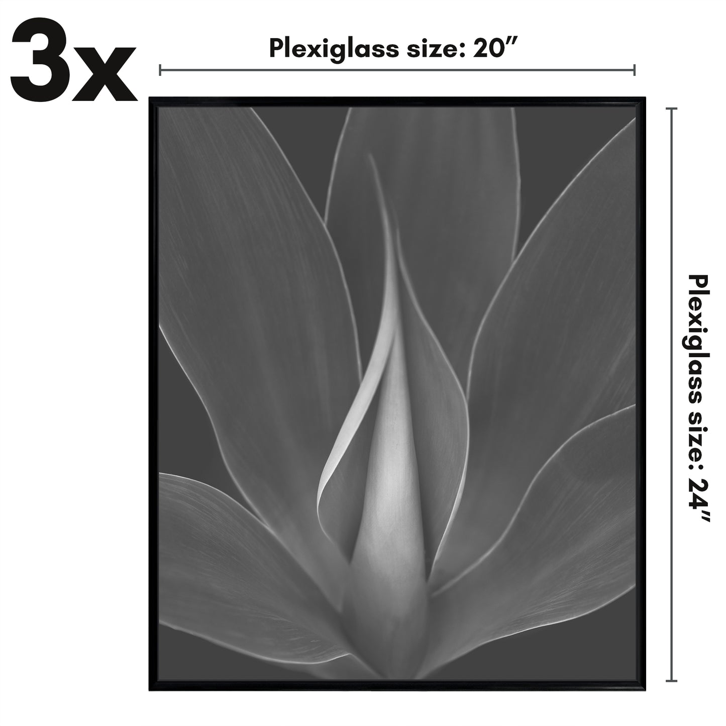 3 Pack - Black Poster Frame with Slimline Molding | Choose Size