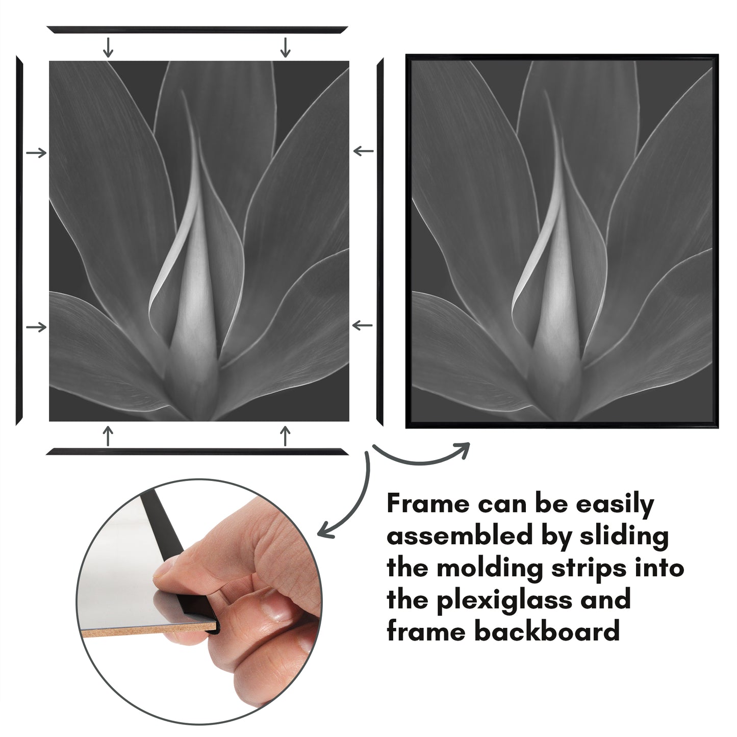 Slide-in Picture Frame with Buildable Molding | Fusion Collection
