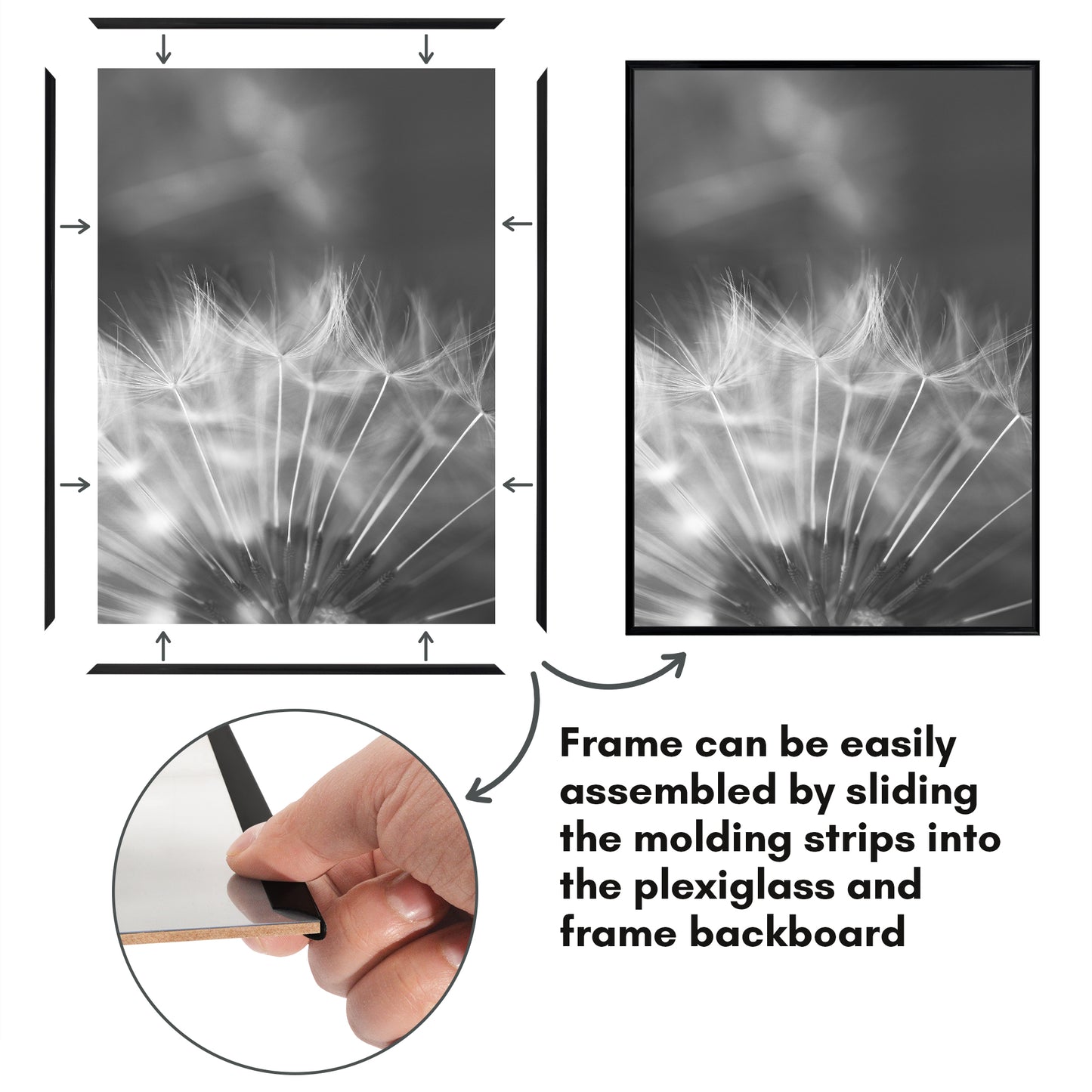 Slide-in Picture Frame with Buildable Molding | Fusion Collection