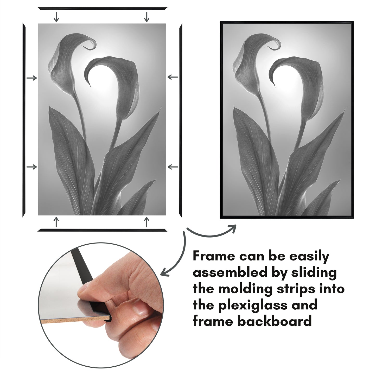 Slide-in Picture Frame with Buildable Molding | Fusion Collection
