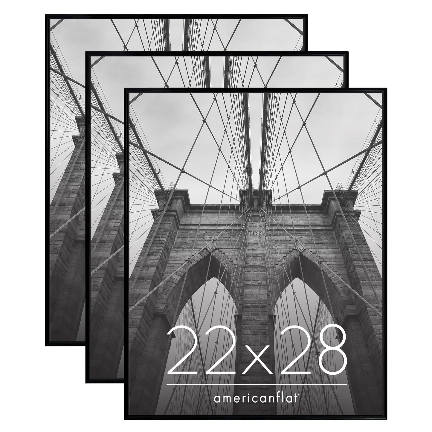 Slide-in Picture Frame with Buildable Molding | Fusion Collection