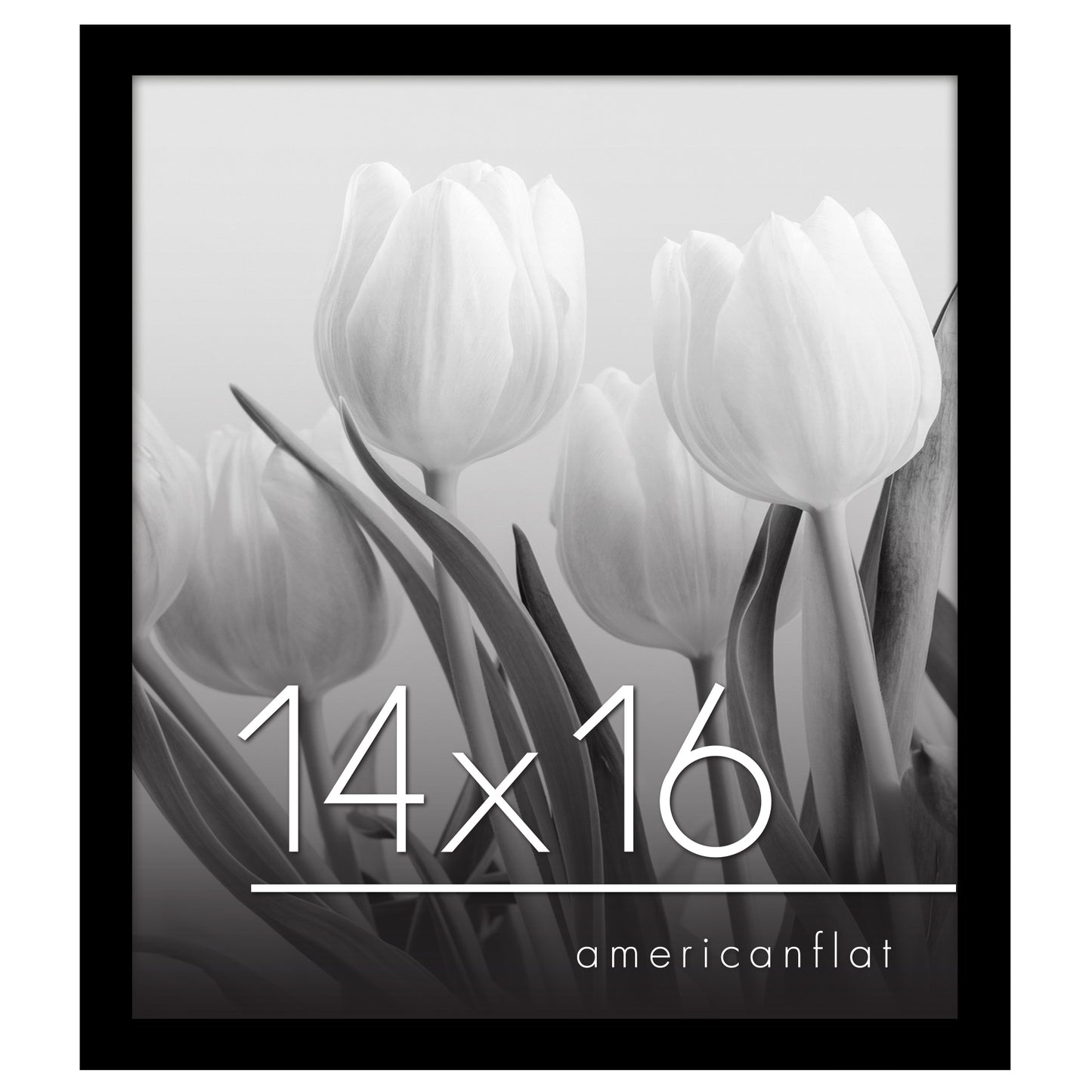 Gallery Poster Frame without Mat | Epic Collection