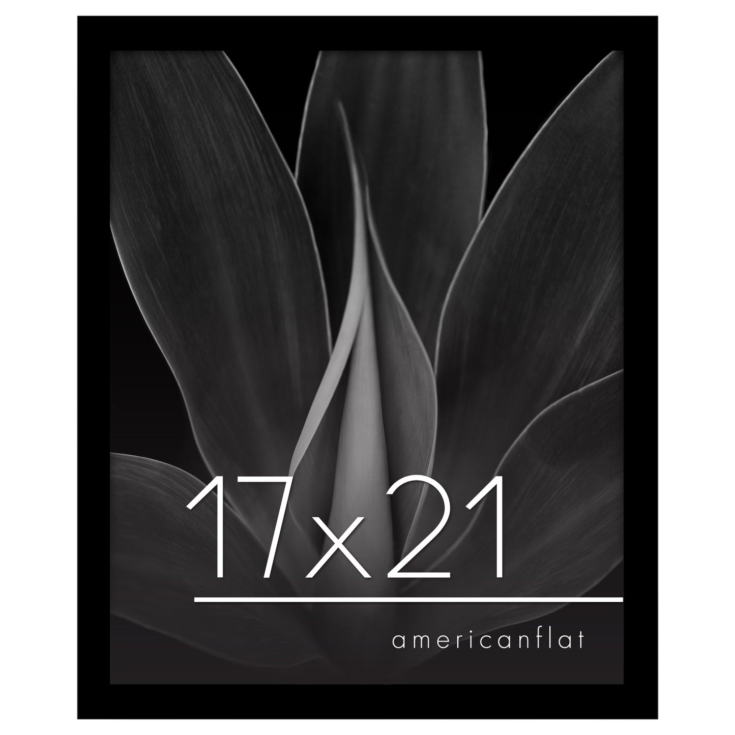 Gallery Poster Frame without Mat | Epic Collection