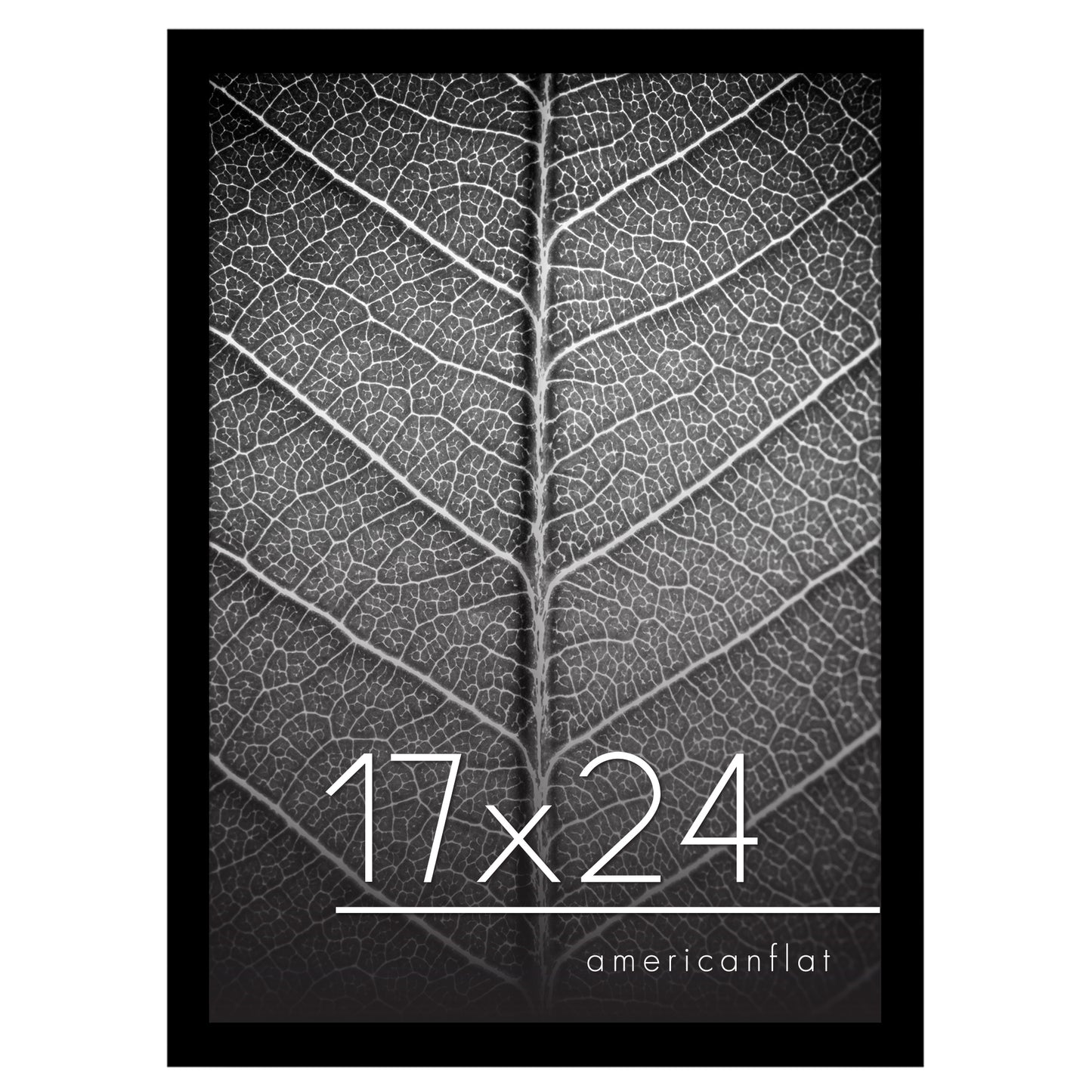 Gallery Poster Frame without Mat | Epic Collection