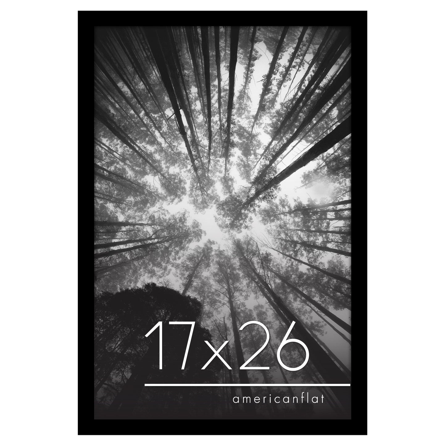 Gallery Poster Frame without Mat | Epic Collection