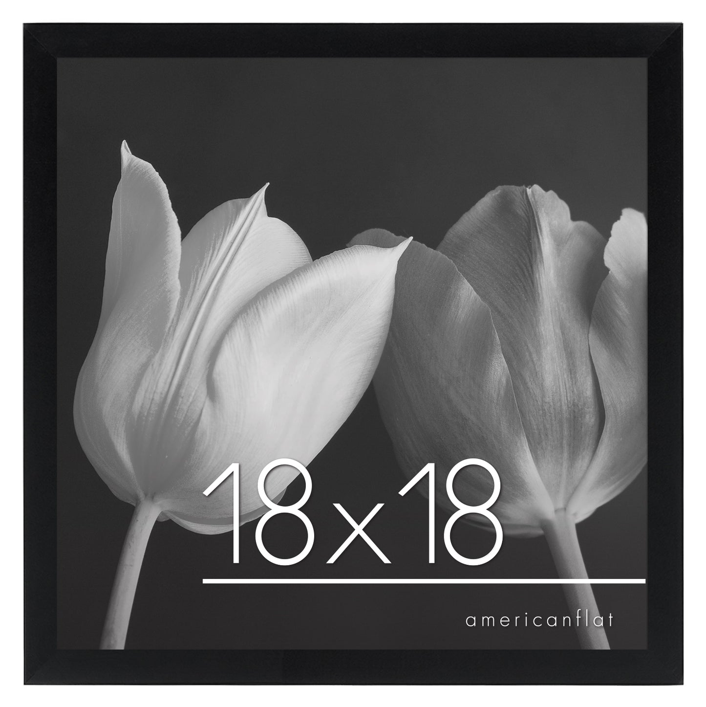 Gallery Poster Frame without Mat | Epic Collection