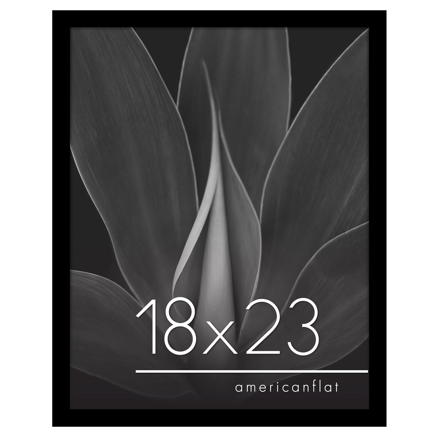 Gallery Poster Frame without Mat | Epic Collection
