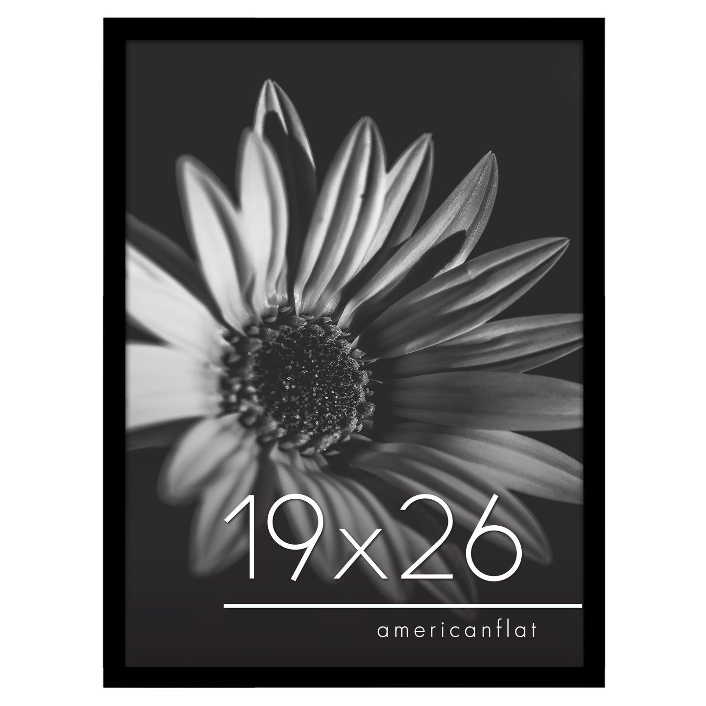 Gallery Poster Frame without Mat | Epic Collection