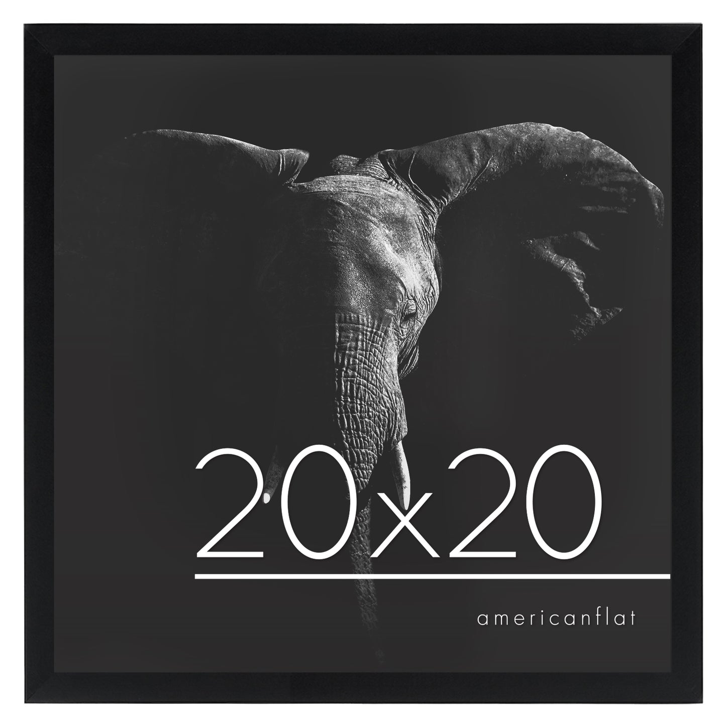 Gallery Poster Frame without Mat | Epic Collection