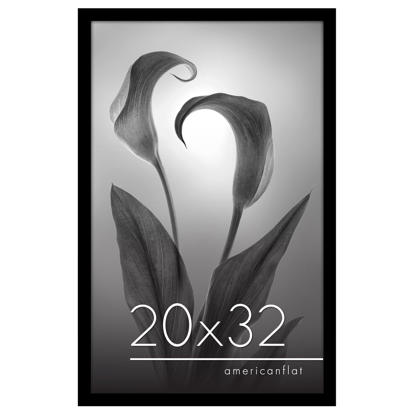 Poster Frame | Photo Frame with Polished Plexiglass Cover | Choose Size