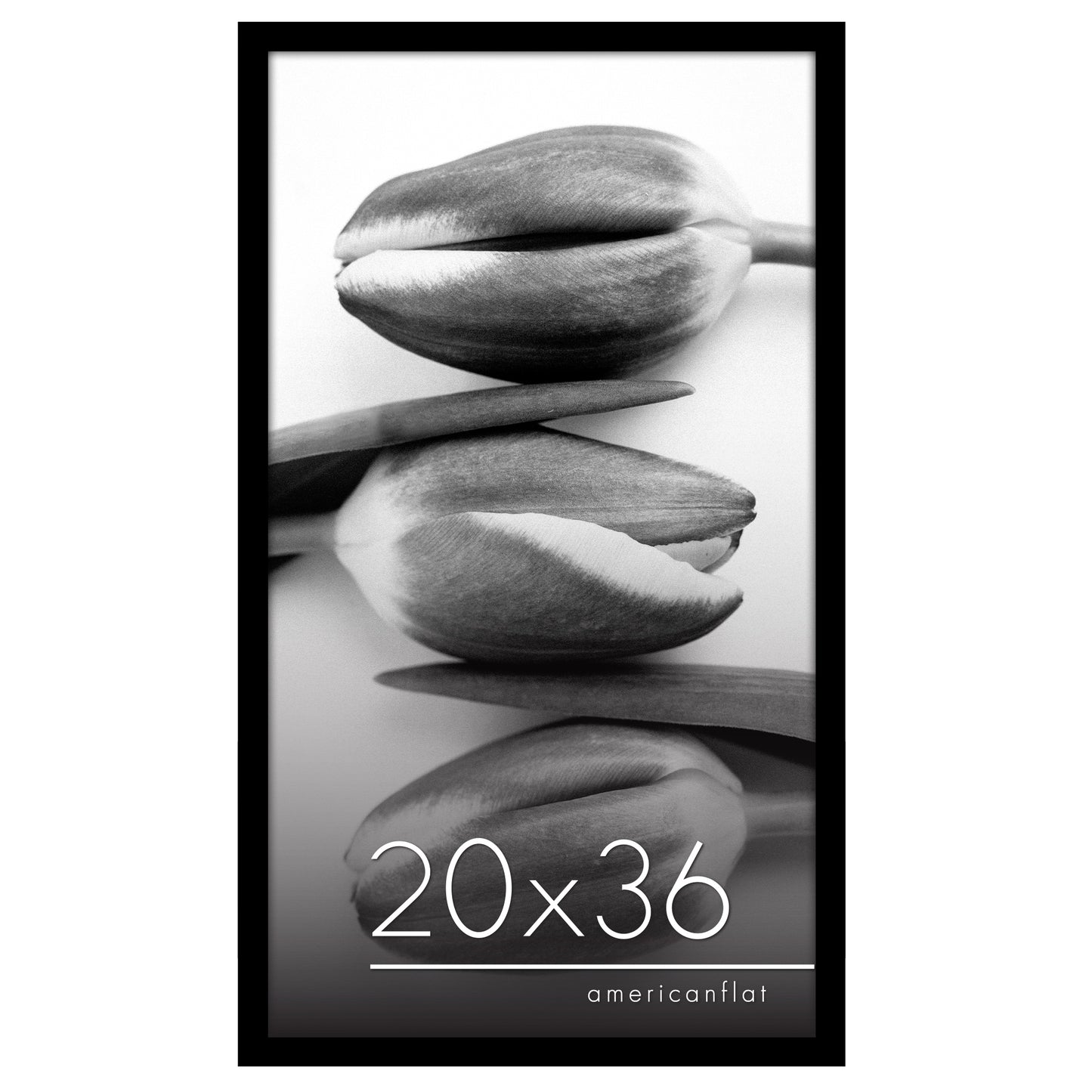 Poster Frame | Photo Frame with Polished Plexiglass Cover | Choose Size