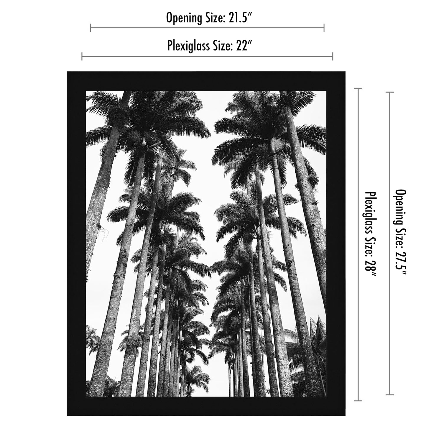 Gallery Poster Frame with Wood Grain Finish | Epic Collection