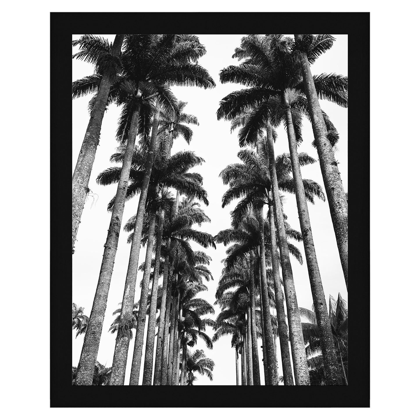 Gallery Poster Frame with Wood Grain Finish | Epic Collection