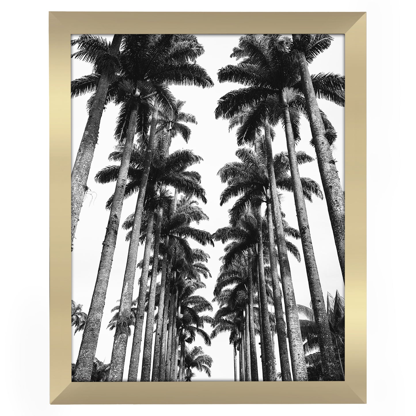 Gallery Poster Frame with Wood Grain Finish | Epic Collection