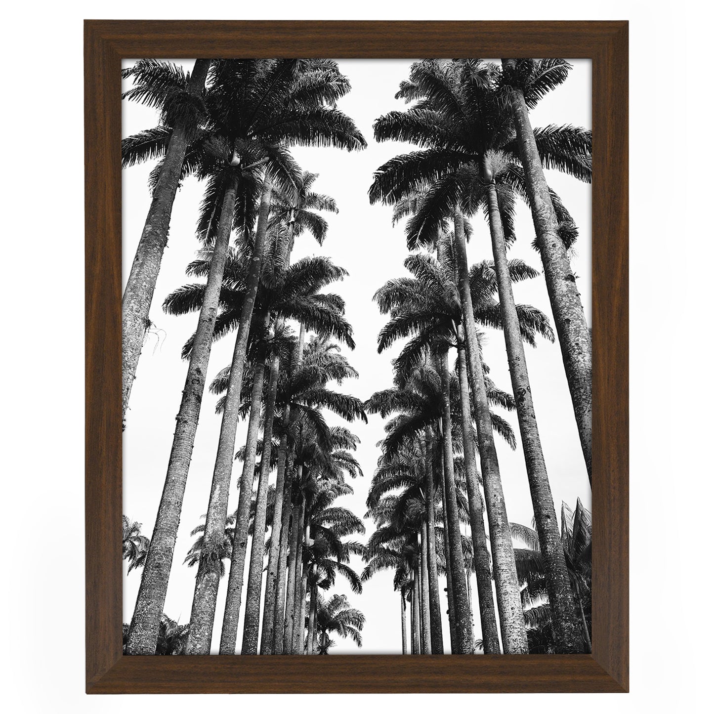 Gallery Poster Frame with Wood Grain Finish | Epic Collection