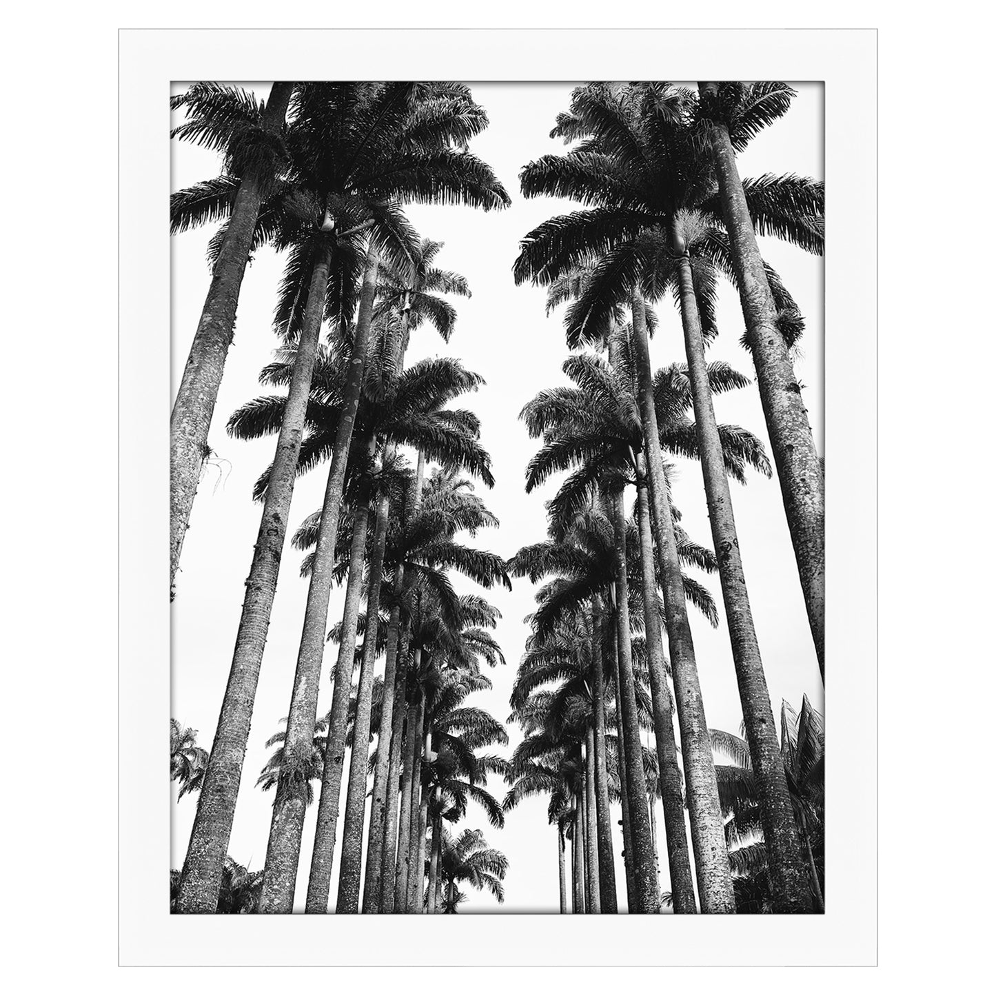 Gallery Poster Frame with Wood Grain Finish | Epic Collection