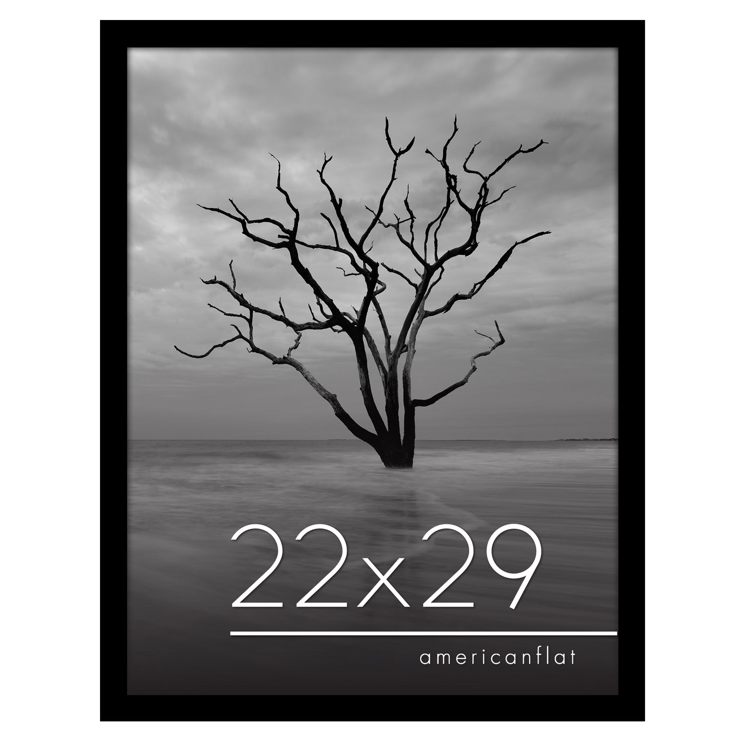 Gallery Poster Frame without Mat | Epic Collection