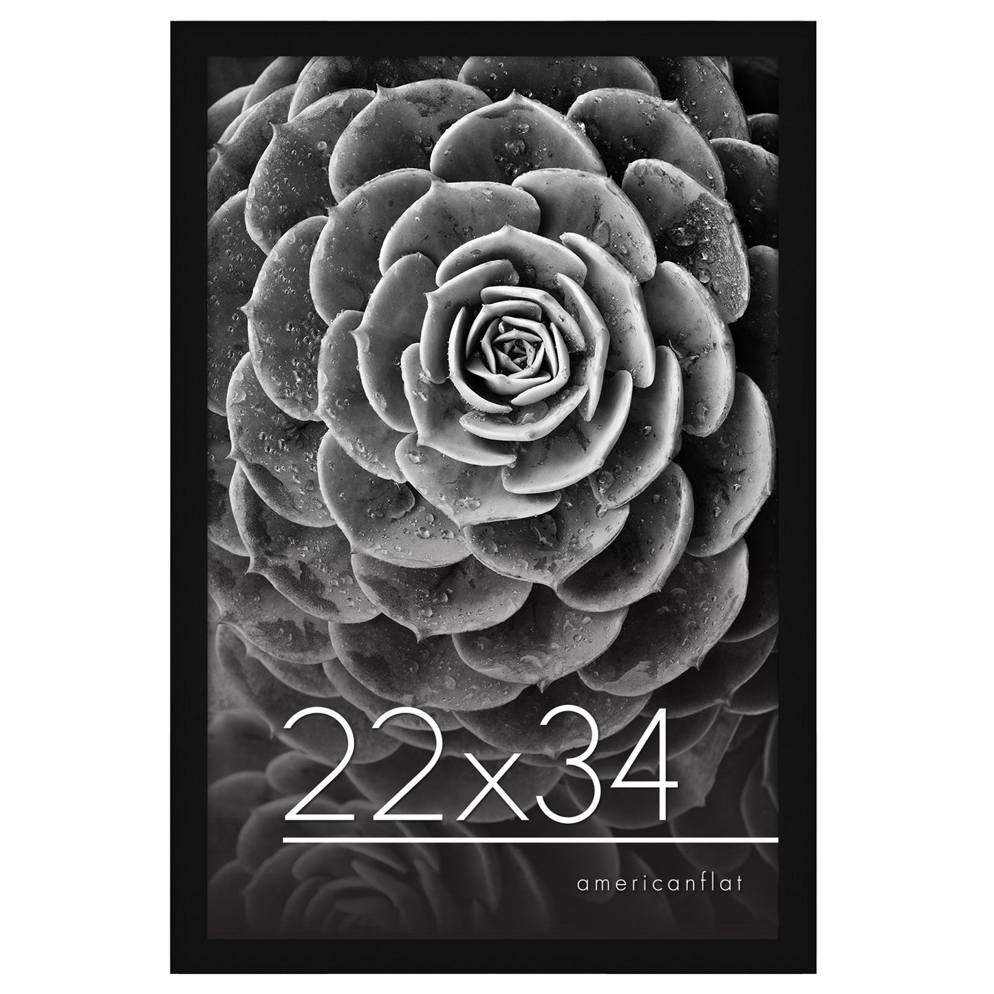 Poster Frame | Photo Frame with Polished Plexiglass Cover | Choose Size