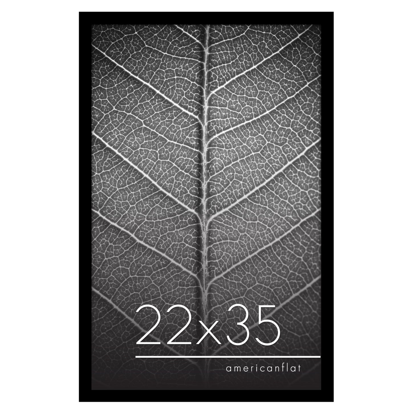 Gallery Poster Frame without Mat | Epic Collection