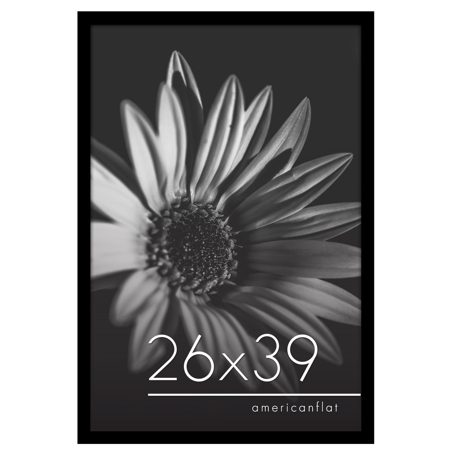 Poster Frame | Photo Frame with Polished Plexiglass Cover | Choose Size