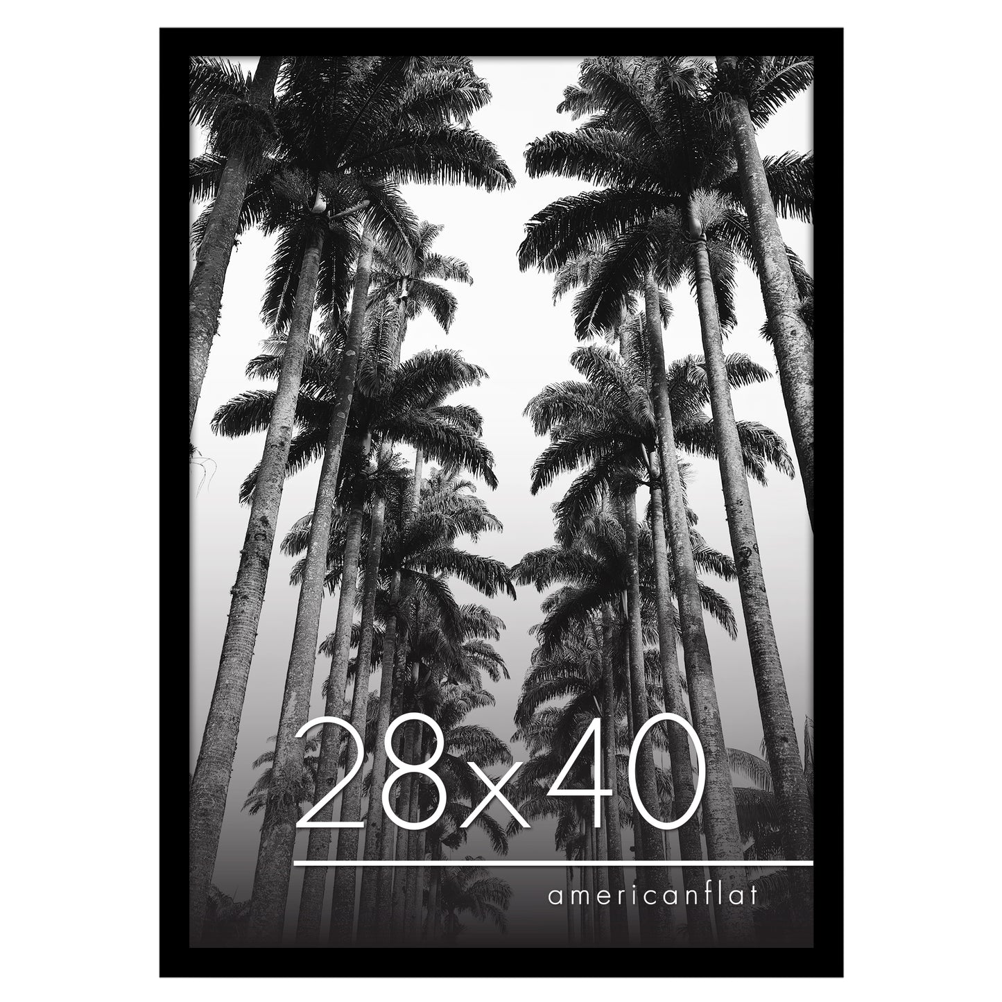 Gallery Poster Frame without Mat | Epic Collection