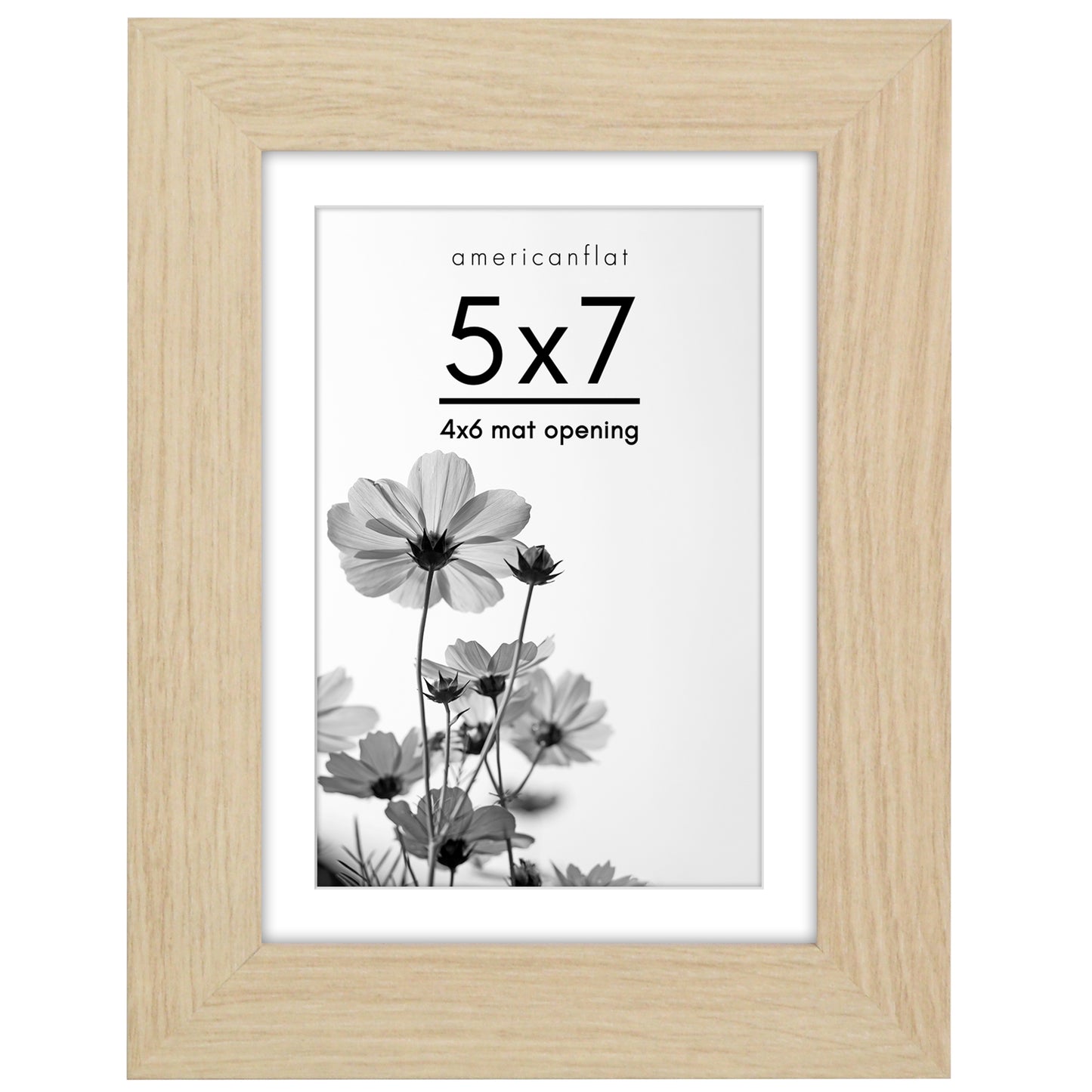 Gallery Picture Frame with Mat | Hudson Collection