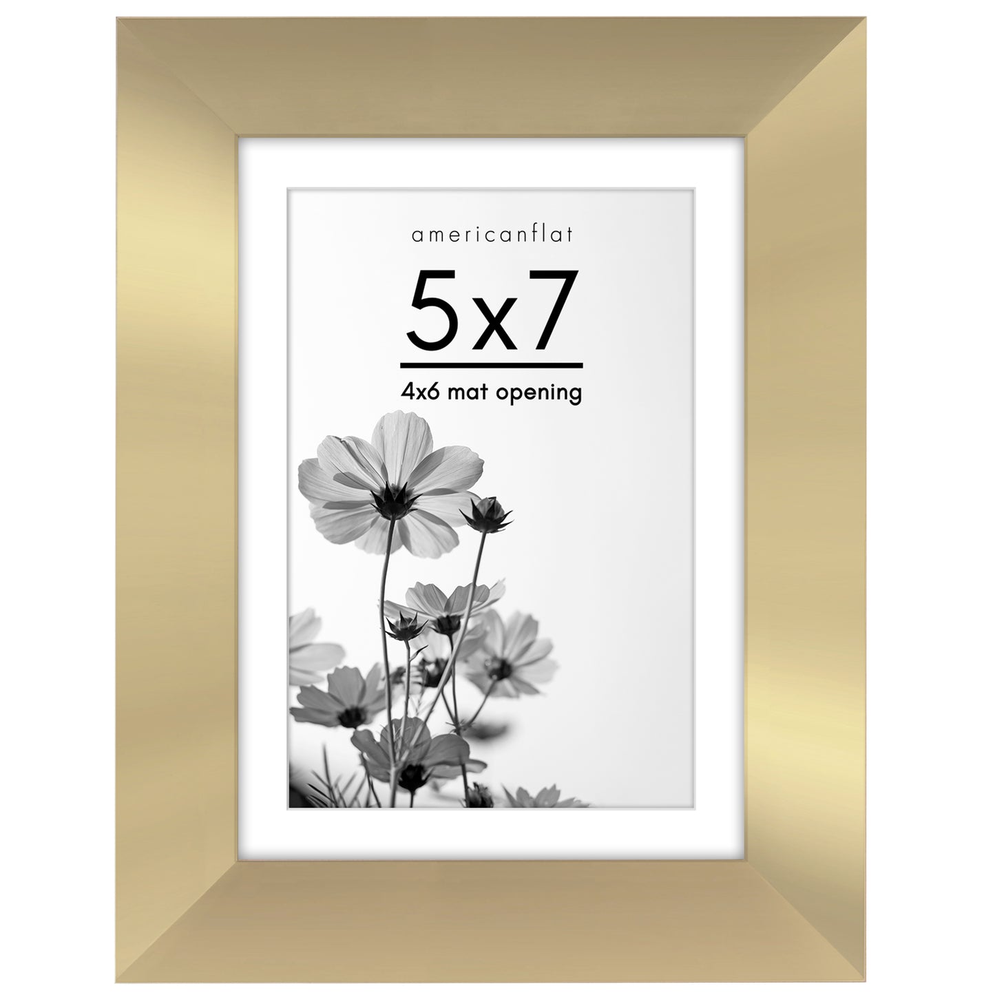 Gallery Picture Frame with Mat | Hudson Collection
