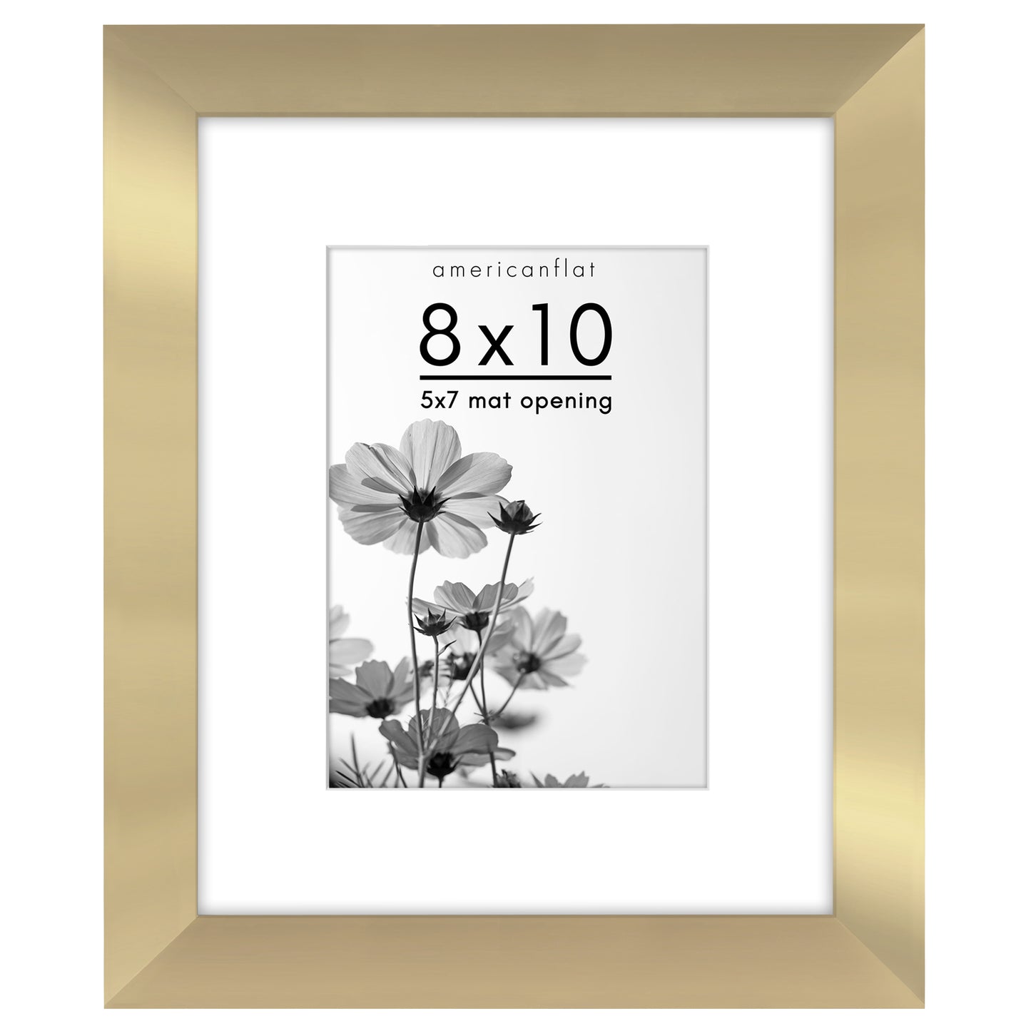 Gallery Picture Frame with Mat | Hudson Collection