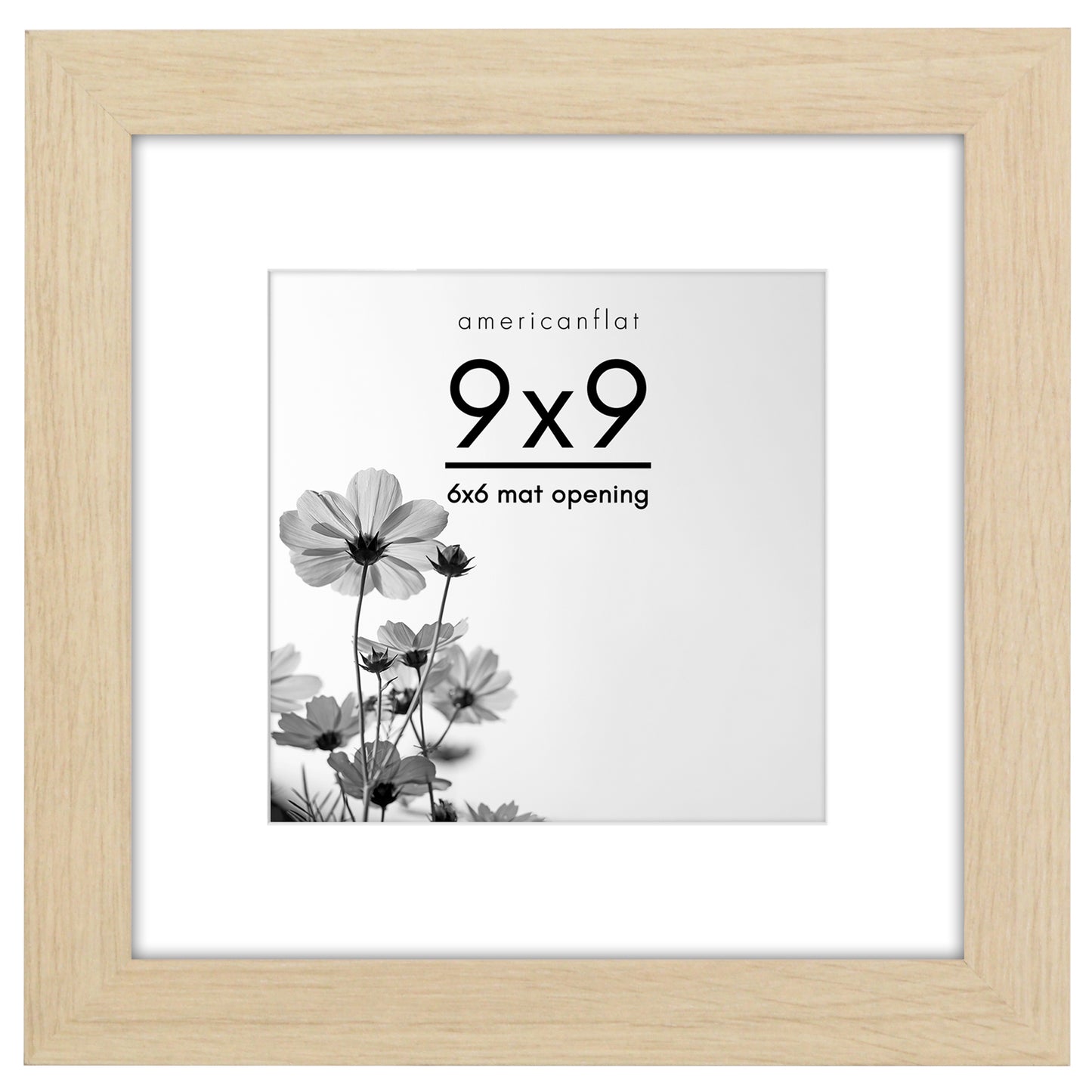 Gallery Picture Frame with Mat | Hudson Collection